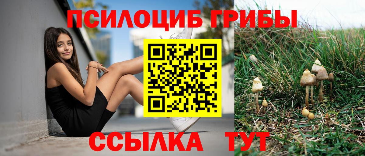 Будённовск  хочу наркоту  Вход с VPN  Псилоцибиновые грибы MAGIC MUSHROOMS 
