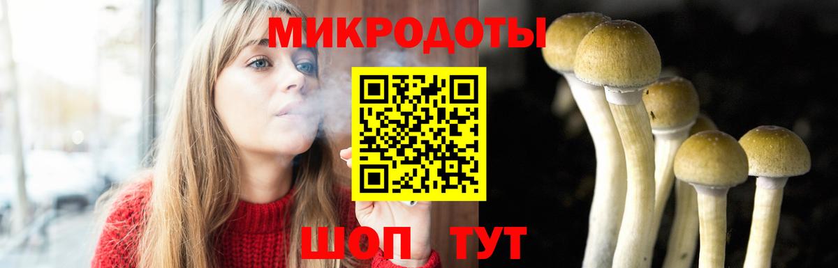 Галлюциногенные грибы GOLDEN TEACHER Будённовск